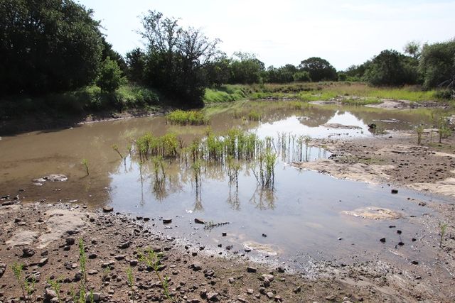 93 J S Murry Ranch Rd, Carta Valley, TX 78840