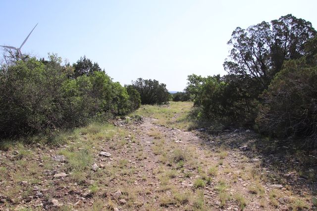 93 J S Murry Ranch Rd, Carta Valley, TX 78840
