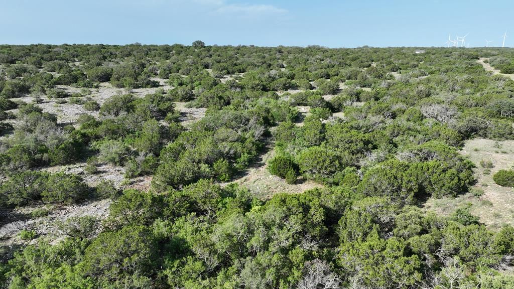 93 J S Murry Ranch Rd, Carta Valley, TX 78840
