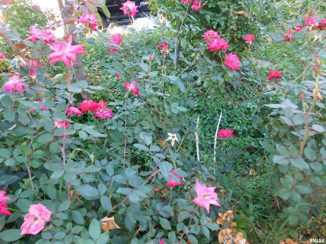 1624 9TH Avenue, Moline, IL 61265