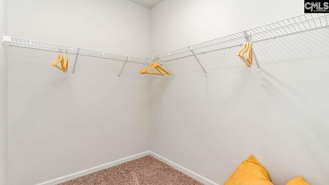182 Livingston Woods Drive, Irmo, SC 29063