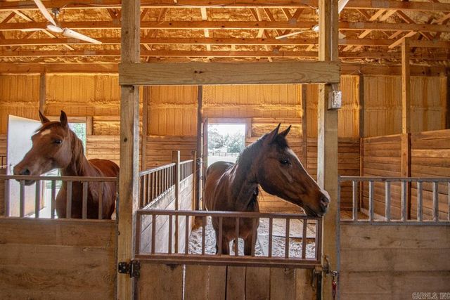 12603 GERMANIA ROAD, Alexander, AR 72002