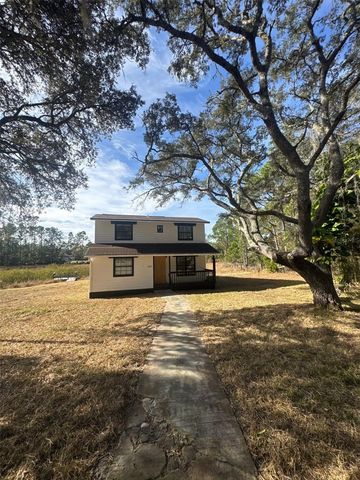 42111 CHINABERRY COURT, Eustis, FL 32736