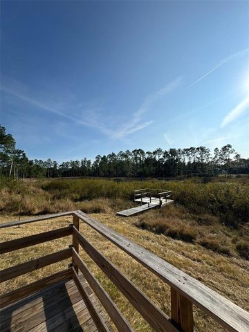 42111 CHINABERRY COURT, Eustis, FL 32736