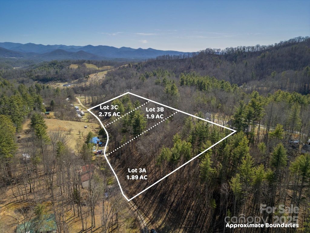 99999 Lloyd Drive 3A, Mars Hill, NC 28754