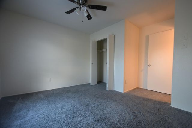 24215 Beef Canyon Drive, Hockley, TX 77447