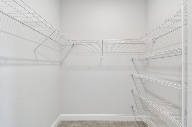 5693 LEAFLET TRAIL, Mount Dora, FL 32757