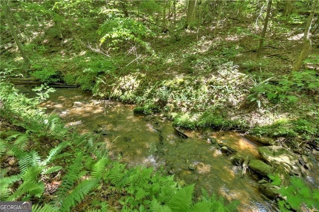 276 Pine Ridge Road, Ellijay, GA 30536