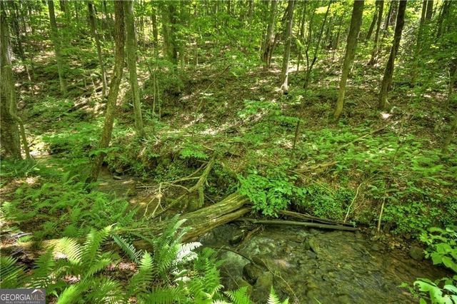 276 Pine Ridge Road, Ellijay, GA 30536