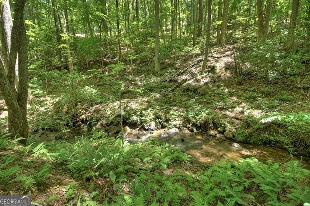 276 Pine Ridge Road, Ellijay, GA 30536