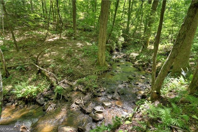 276 Pine Ridge Road, Ellijay, GA 30536