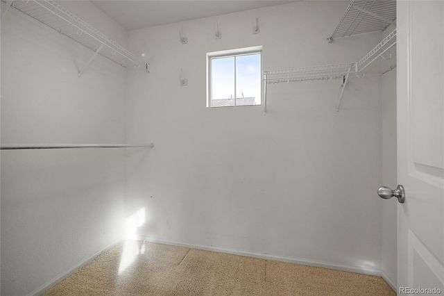 3656 Akron Street, Denver, CO 80238