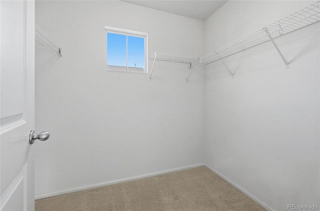 3656 Akron Street, Denver, CO 80238