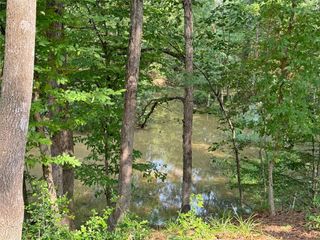 20 Lower Cove Drive, Point Blank, TX 77364
