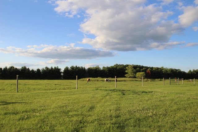 9187 Apple Road, Royalton Twp, MN 55063