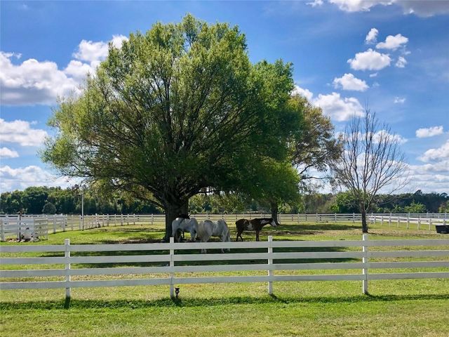 4015 INDIGO ROAD, Groveland, FL 34736