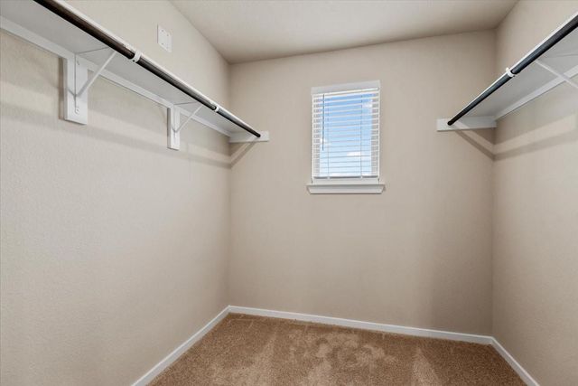 13599 Bay Springs Drive, Conroe, TX 77303