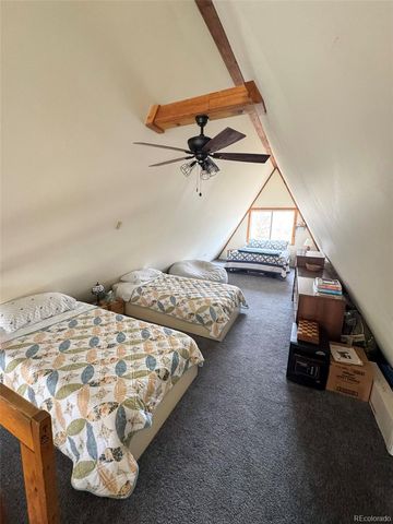 206 Empire Circle, Leadville, CO 80461
