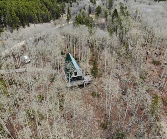 206 Empire Circle, Leadville, CO 80461