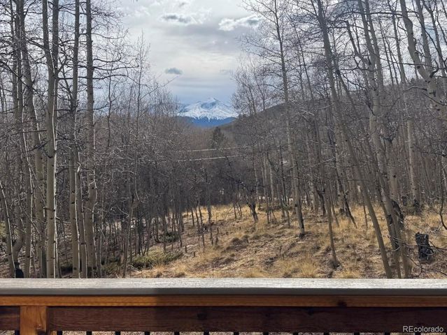 206 Empire Circle, Leadville, CO 80461