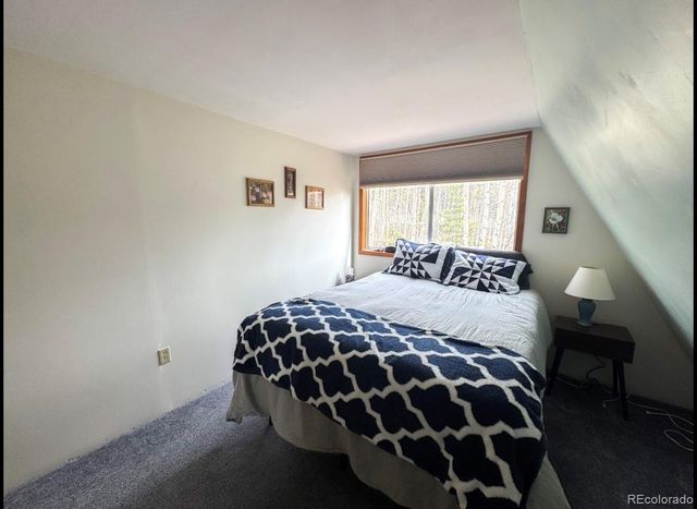 206 Empire Circle, Leadville, CO 80461