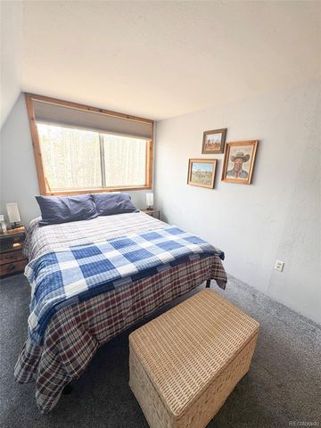 206 Empire Circle, Leadville, CO 80461