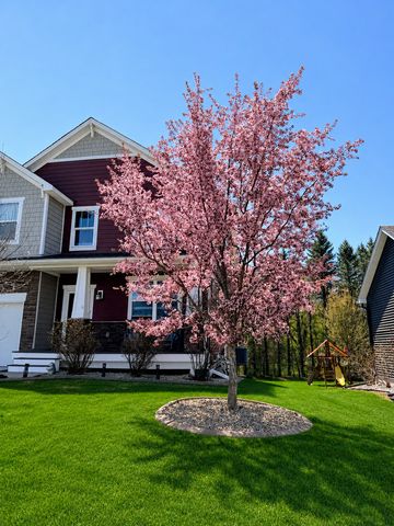 10585 37th Place NE, Saint Michael, MN 55376