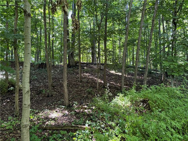 3201 Wilson Youngstown Road, Wilson, NY 14172