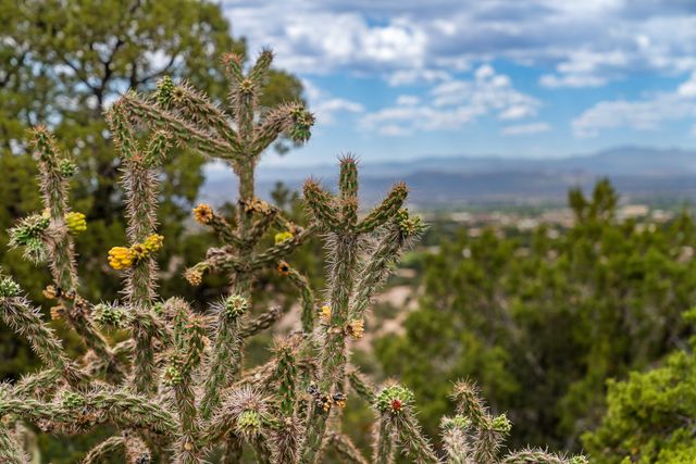 40 E Old Agua Fria Road, Santa Fe, NM 87508