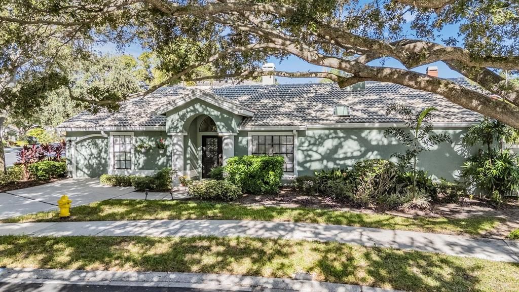 407 GEORGETOWN PLACE, Safety Harbor, FL 34695