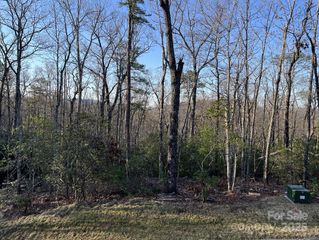 0 Turtle Ridge Trail, Mills River, NC 28759