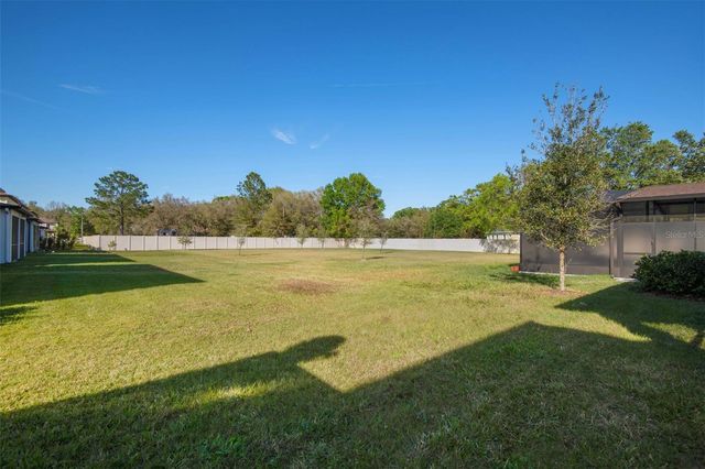 11020 TAHITI ISLE LANE, Tampa, FL 33647