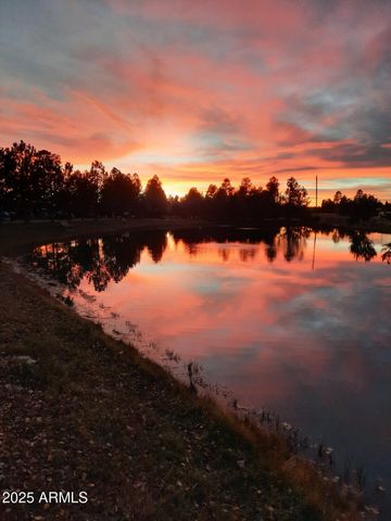 2274 WATER N HOLE Road, Overgaard, AZ 85933