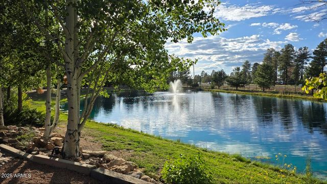 2274 WATER N HOLE Road, Overgaard, AZ 85933