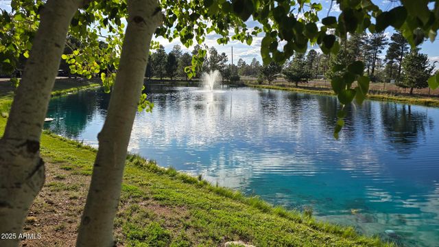 2274 WATER N HOLE Road, Overgaard, AZ 85933