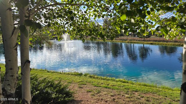 2274 WATER N HOLE Road, Overgaard, AZ 85933