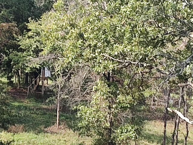 2373 E 540th Road, Buffalo, MO 65622