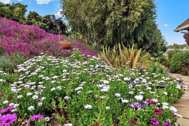 2691 Daisy Lane, Fallbrook, CA 92028