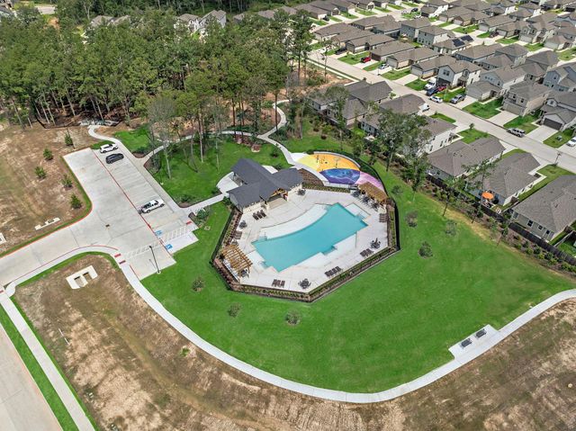 20906 Wildbird Cherry Lane, Porter, TX 77365