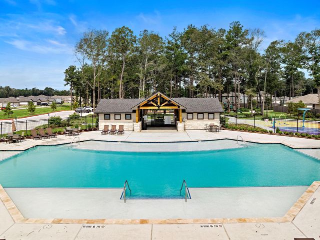 20906 Wildbird Cherry Lane, Porter, TX 77365