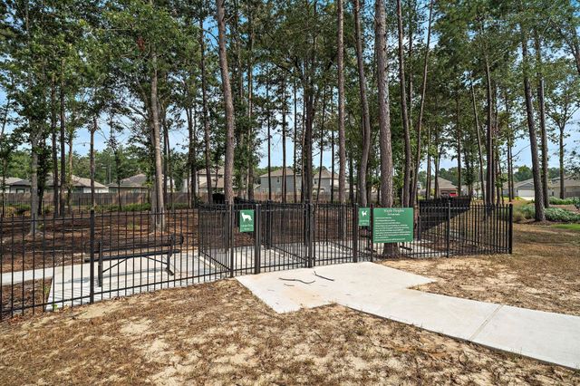 20906 Wildbird Cherry Lane, Porter, TX 77365