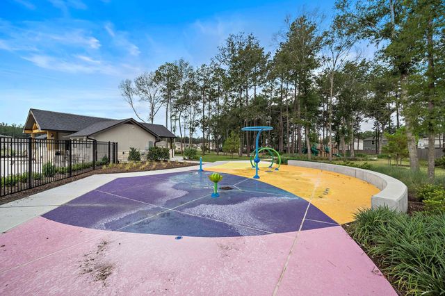 20906 Wildbird Cherry Lane, Porter, TX 77365