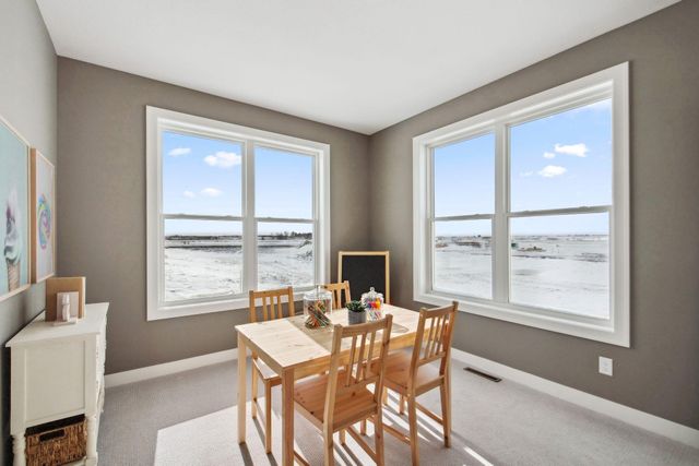 1232 Ardara Ridge Road, Rosemount, MN 55068