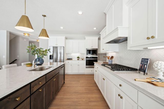 1232 Ardara Ridge Road, Rosemount, MN 55068