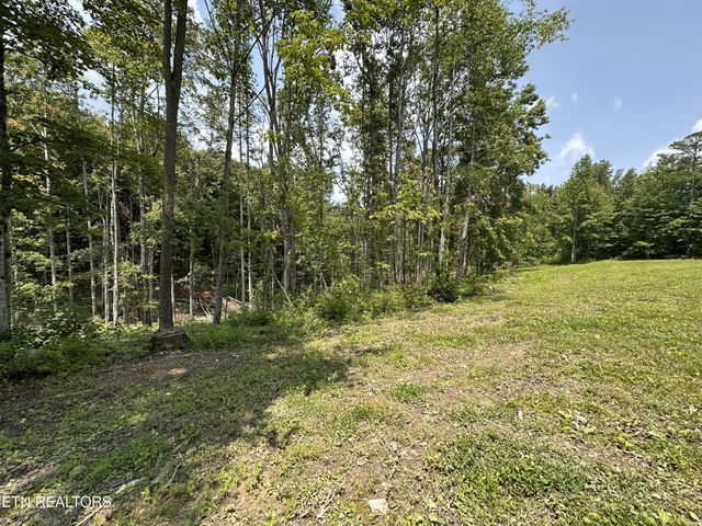 1019 Sunshine Estates Rd, Jamestown, TN 38556