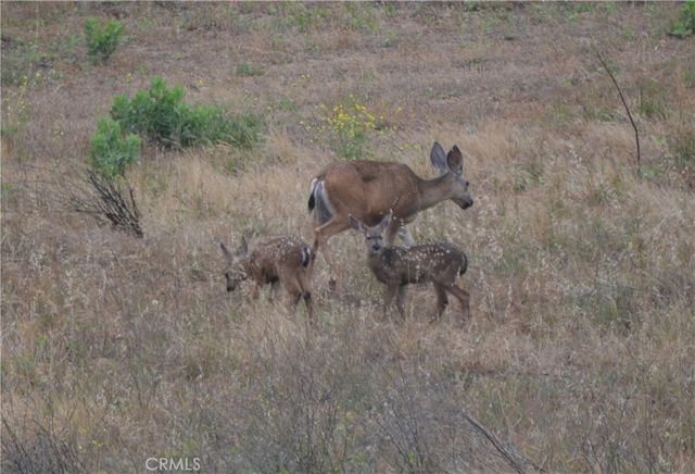 1294 Hollysprings, Santa Maria, CA 93455