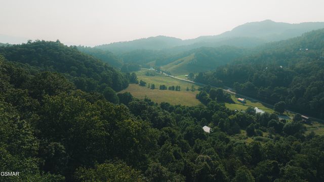 3305 Red Wolfe Road, Sevierville, TN 37862