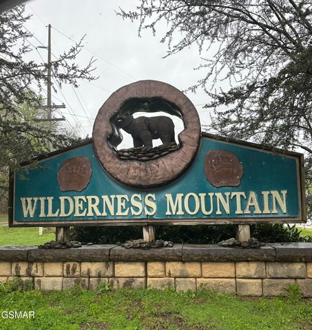 3305 Red Wolfe Road, Sevierville, TN 37862