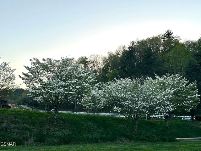 3305 Red Wolfe Road, Sevierville, TN 37862