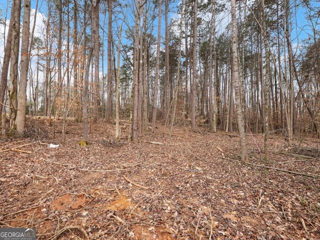 5224 Bogus Road, Gainesville, GA 30506